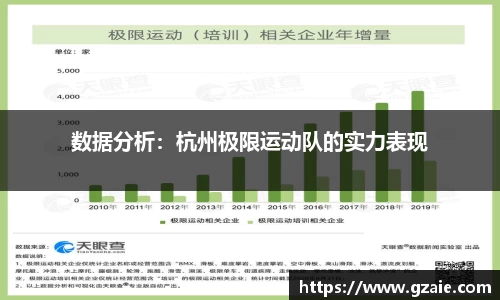 数据分析：杭州极限运动队的实力表现