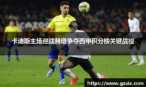 bsports必一体育
