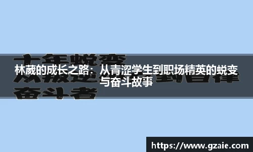 bsports必一体育